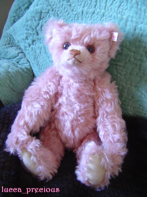 Teddy Bear_f0109825_7203096.jpg