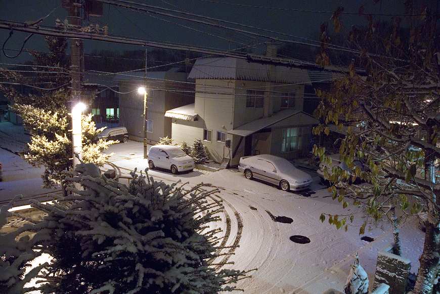 本当の吹雪_c0051132_22115842.jpg
