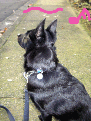 d0049135_11283472.gif