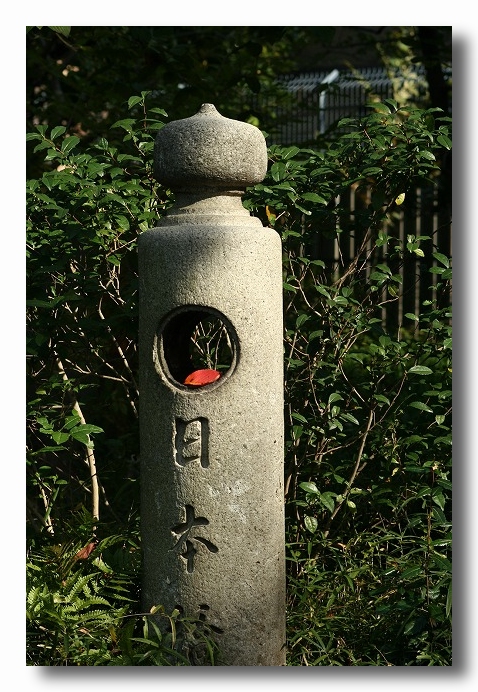 e0052135_19372539.jpg