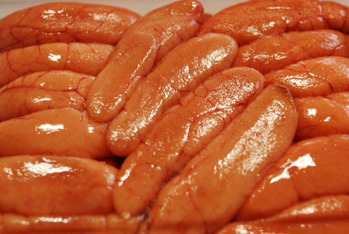 生タラコ こってり甘辛く炊くと美味しいですよ 魚屋三代目日記