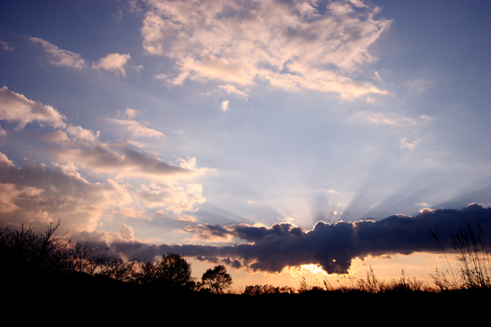 秋の夕景_b0049843_22343620.jpg