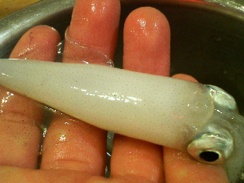 f0088647_12332498.jpg