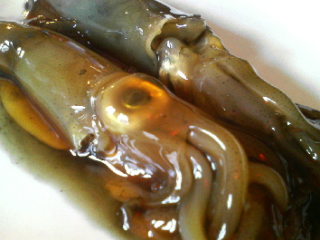 f0088647_12464358.jpg
