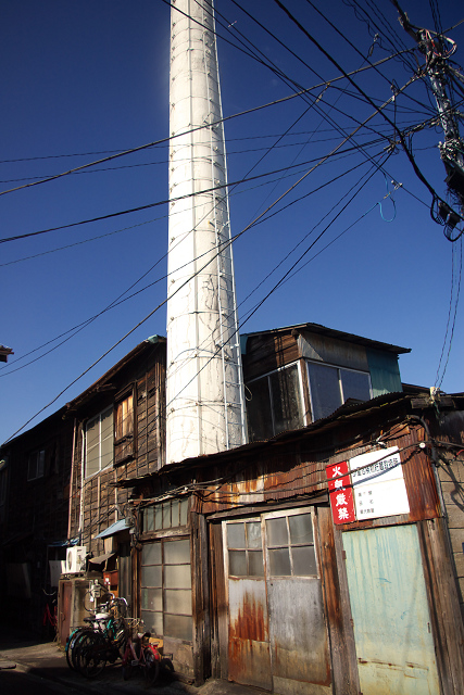 c0080357_722762.jpg
