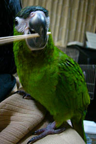 a0086994_012877.jpg