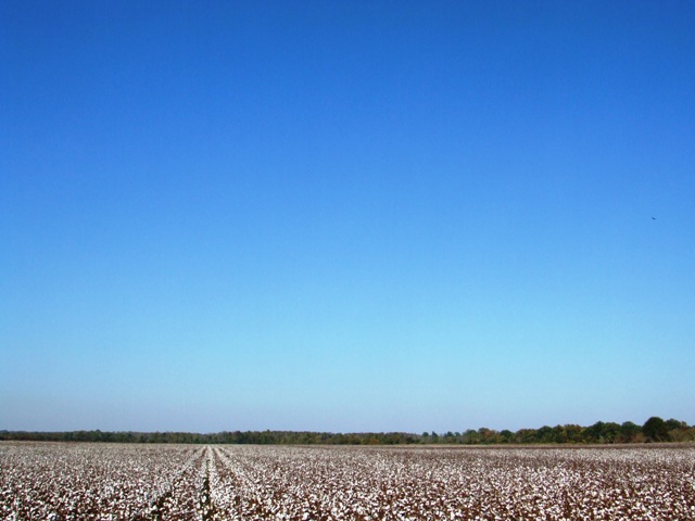 c0062603_13142299.jpg