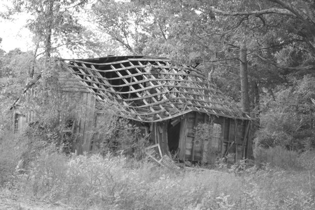 c0062603_1339239.jpg