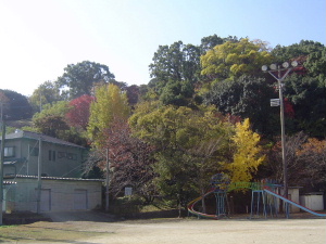 明日は研究発表会_c0052304_854385.jpg
