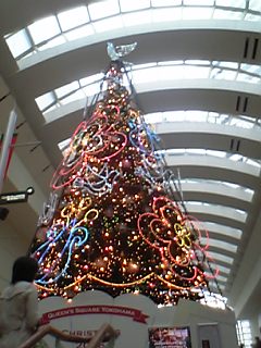 a0013905_1194635.jpg