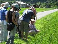 白浜町日置川地区、「わかやま田舎暮らしモニターツアーin白浜町」を実施 和歌山県白浜町_f0061306_1084593.jpg