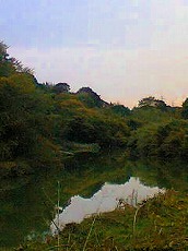 a0036808_23374426.jpg