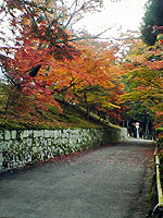 紅葉_b0080720_11181232.jpg