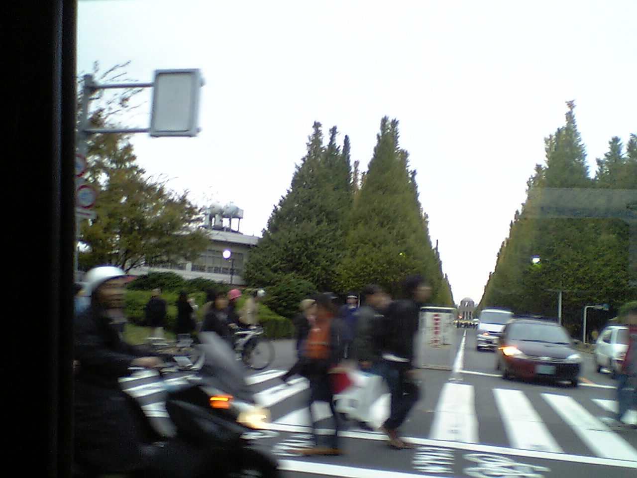 e0030426_17243048.jpg