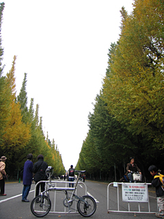 e0089826_16352392.jpg