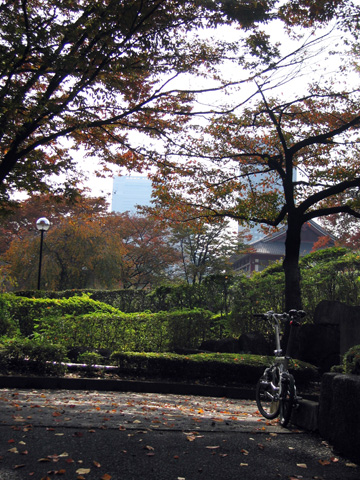e0089826_16353581.jpg