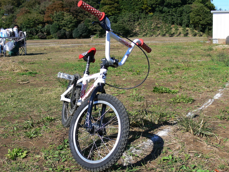 プロジェクト16VOL70 REDLIINE PROLINE PITBOSSモデファイ_b0065730_057985.jpg