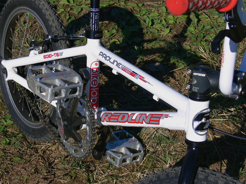 プロジェクト16VOL70 REDLIINE PROLINE PITBOSSモデファイ_b0065730_1204577.jpg