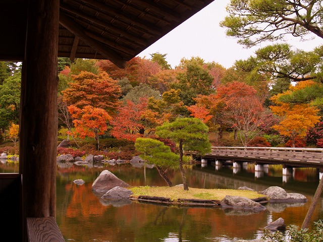 c0003830_1028566.jpg