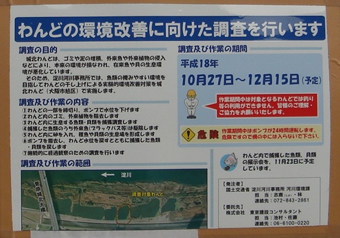 ワンド調査1_f0088231_12512216.jpg