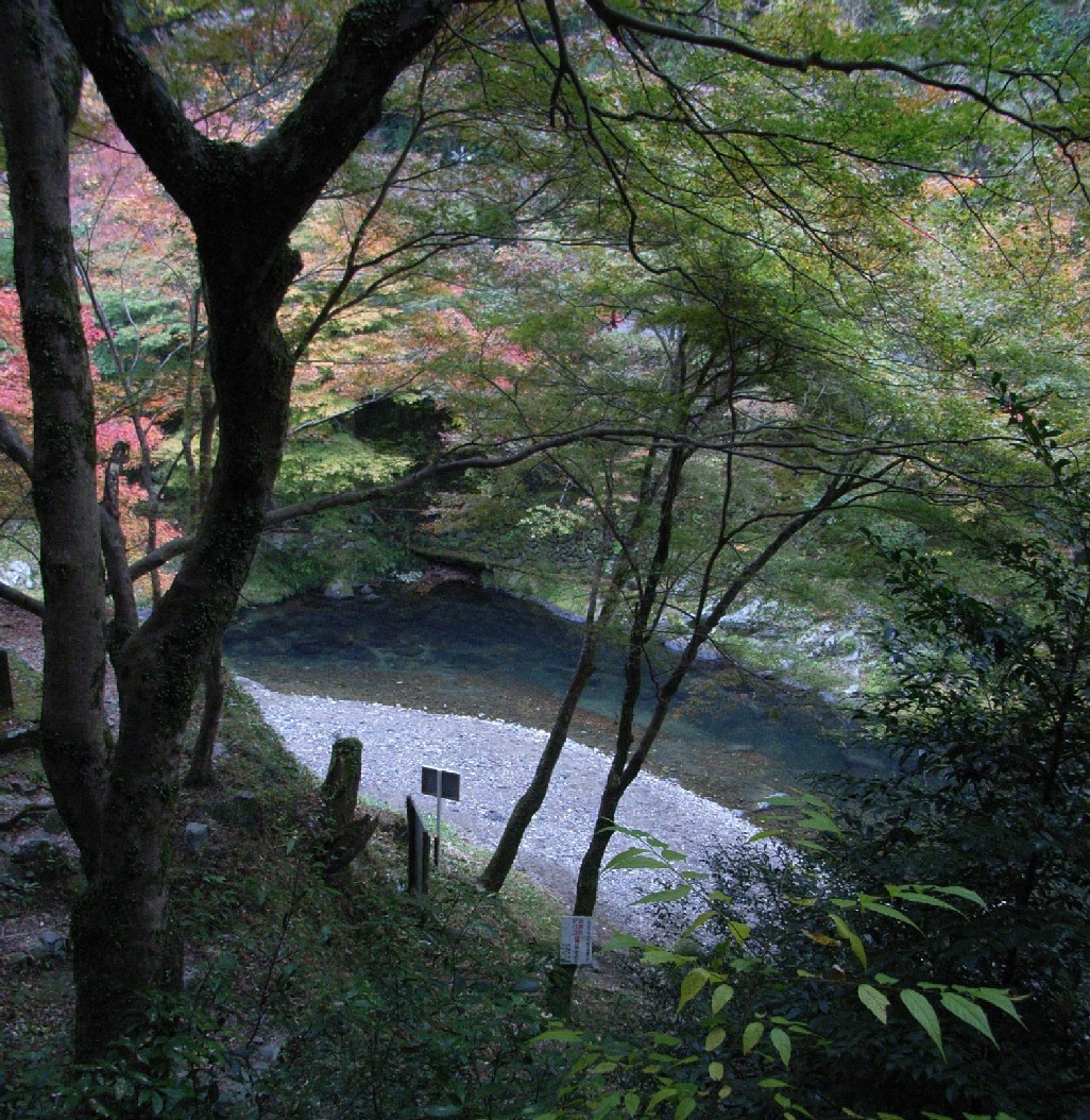 京都高雄　もみじ散歩２_a0082536_1101279.jpg