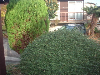 f0031037_197342.jpg