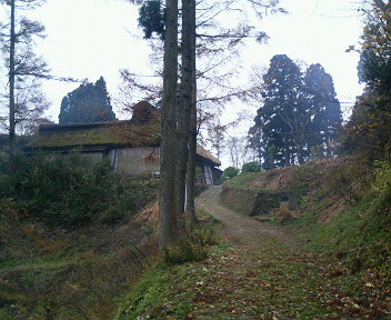 晩秋の木ノ芽峠_d0079440_17155944.jpg