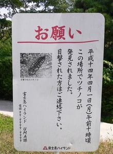 f0065341_04234.jpg