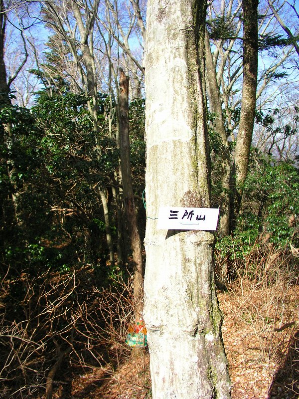 c0008948_04377.jpg