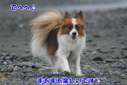 d0013149_0162022.jpg