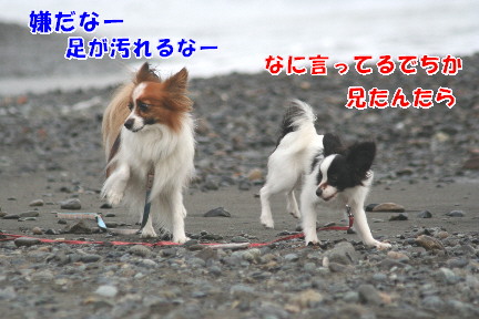 d0013149_01672.jpg