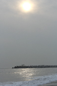d0013149_01744.jpg