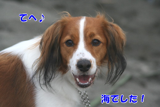 d0013149_02021.jpg
