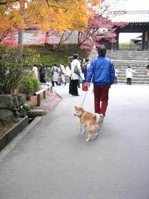 お待たせしました~!_c0049950_17192699.jpg
