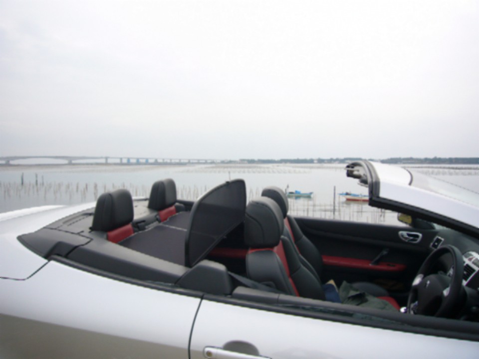 f0091250_164328.jpg
