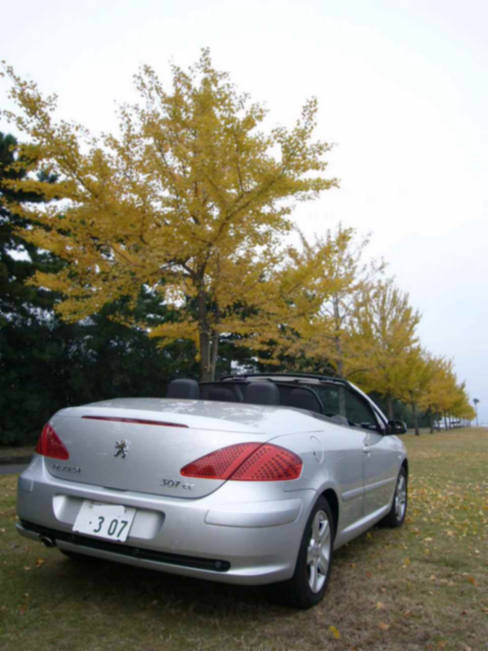 f0091250_16435115.jpg