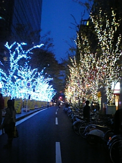 d0042851_0462499.jpg