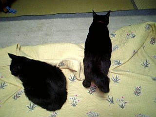 d0042851_04718100.jpg