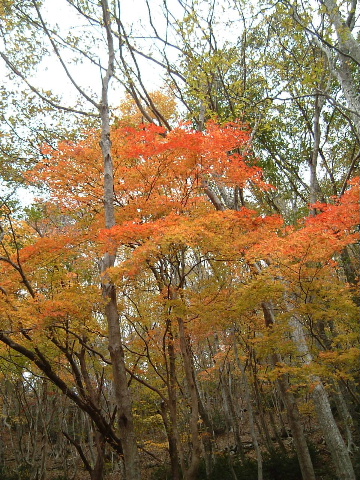c0097754_2202237.jpg