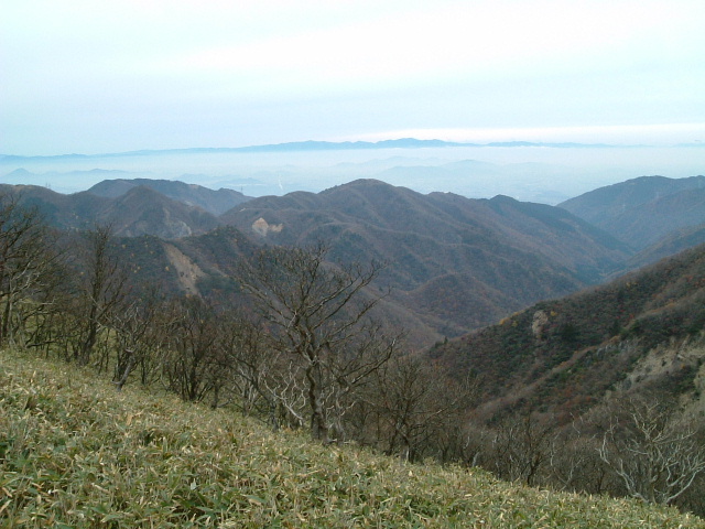 c0097754_2213756.jpg