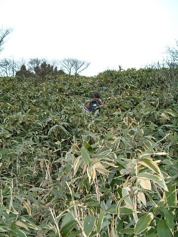 c0097754_2243583.jpg
