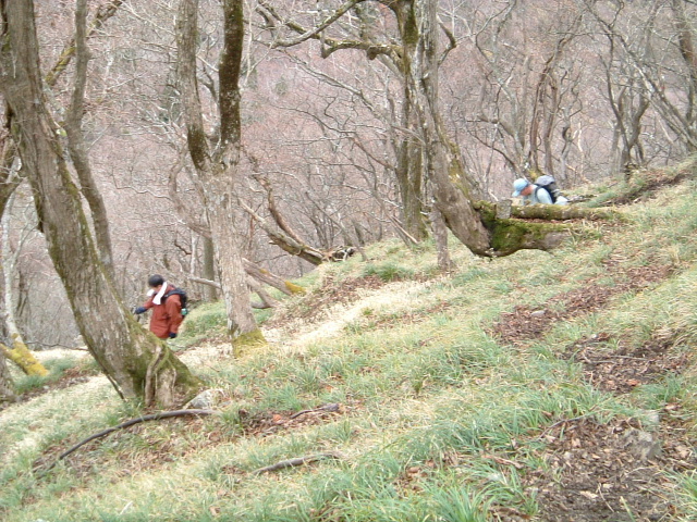 c0097754_2255034.jpg