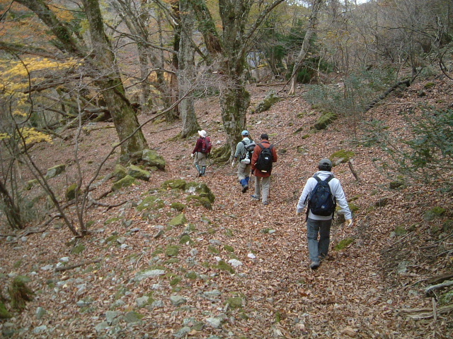 c0097754_2264639.jpg