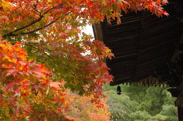 「京都慕情」　4  常寂光寺_e0087881_20175039.jpg