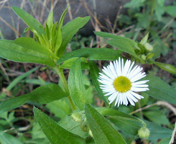 c0007384_17273740.jpg