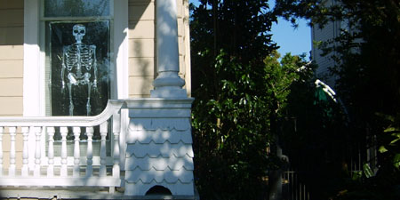 d0000995_6235798.jpg
