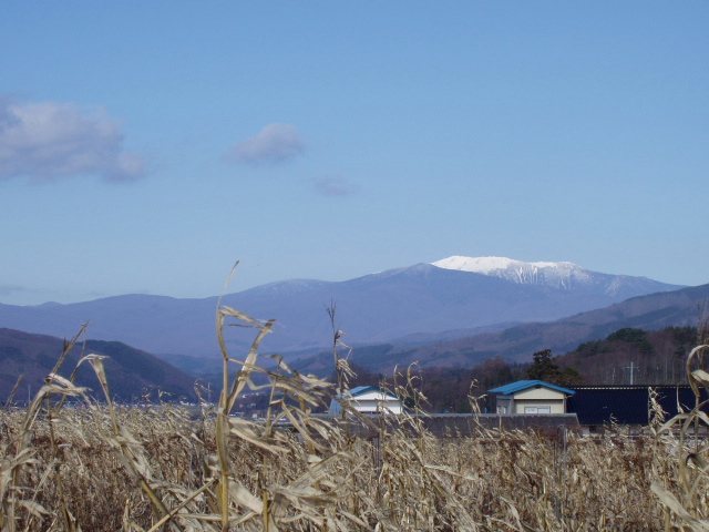 雪を戴いた早池峰_f0003499_13344720.jpg