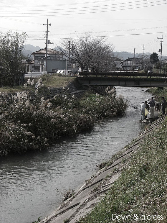 ヤリタナゴ救出作戦_c0095801_13372630.jpg