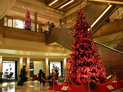 a0041508_19394226.jpg