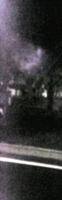 f0064614_11730.jpg